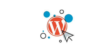 Websites & WordPress